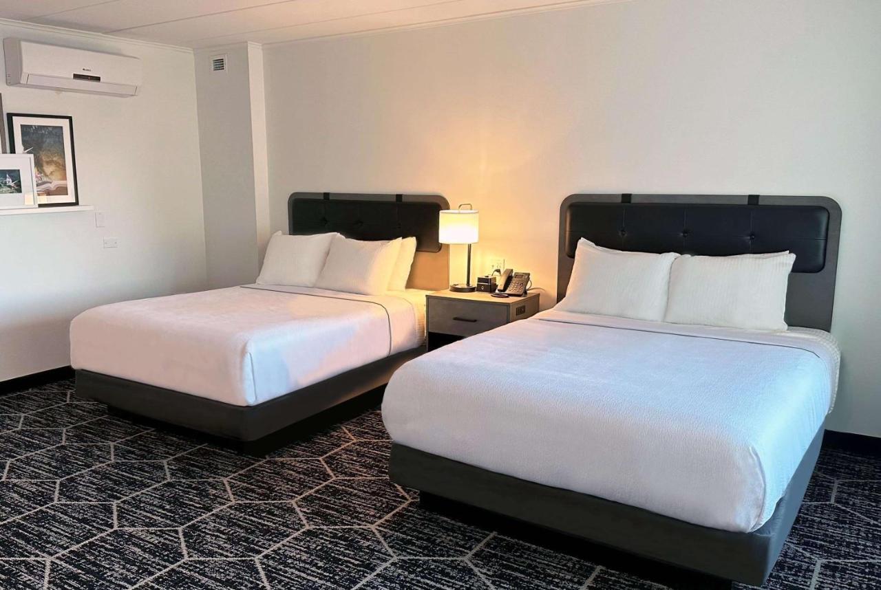 La Quinta By Wyndham Chicago O'Hare Airport Rosemont Exterior foto